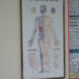 acupuncture table