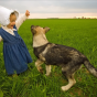 Dog can help ASD Child's mental grow better