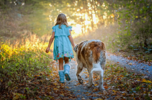 Dog is very helpful for ASD Child